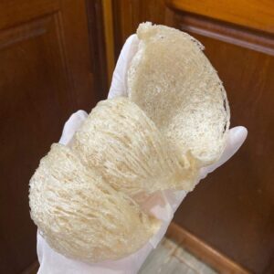 Z5569354103149_45b31325cb38c813a2f0aefc1166ac1e